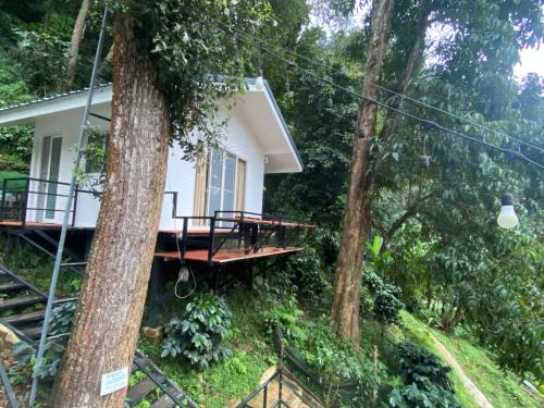 a house in the woods with a tree at บ้านชายดอย Glamping ดอยแม่แจ๋ม cheason ,Muangpan, Lampang in Ban Mai