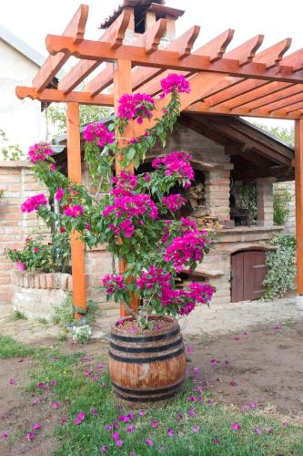 a barrel with pink flowers in front of a wooden pergola at Vesna in Vukovar