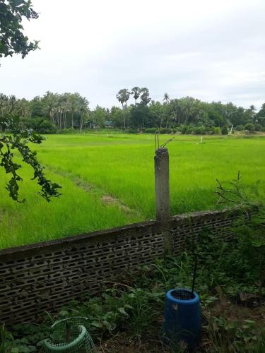 Κήπος έξω από το เพชร การ์เด้น -Phet Garden Resort, Nakhonthai 1