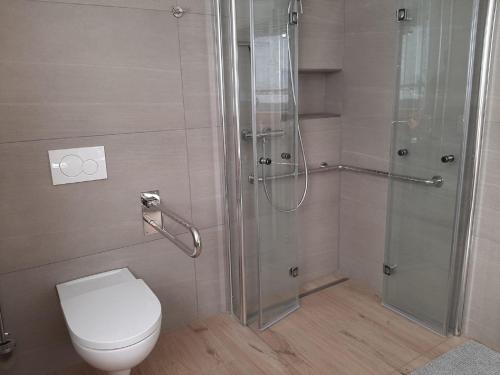 ein Badezimmer mit Toilette und Glasdusche in der Unterkunft Main Lieblingsplatz in Langenprozelten