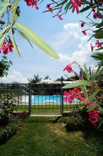 ein Tor zu einem Pool mit rosa Blumen in der Unterkunft Haus Ebner Eppan an der Weinstraße St Pauls in Appiano sulla Strada del Vino