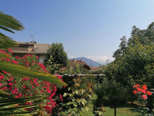 a garden with flowers and trees and a house at Haus Ebner Eppan an der Weinstraße St Pauls in Appiano sulla Strada del Vino