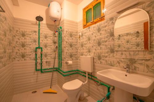 a bathroom with a toilet and a sink at Zostel Sissu in Sissu