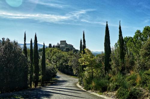 a road with trees and a building on a hill at Castello di Velona Resort, Thermal SPA & Winery in Montalcino