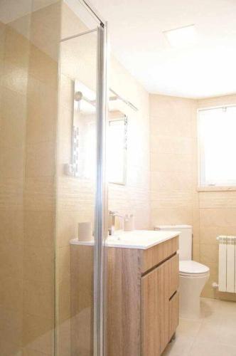 a bathroom with a shower and a sink and a toilet at Apartamento AVENIDA DO MAR in A Coruña