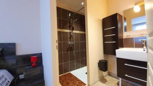 ein Badezimmer mit Dusche und Waschbecken in der Unterkunft Maison charmeur avec jardin à Puy-l'Évêque et piscine partagée in Puy-lʼÉvêque