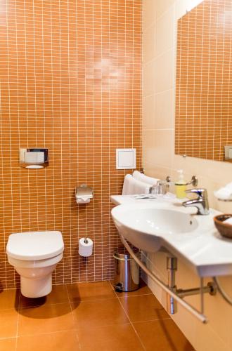 a bathroom with a toilet and a sink and a mirror at Hotel Pušyno Namai in Tirkšliai