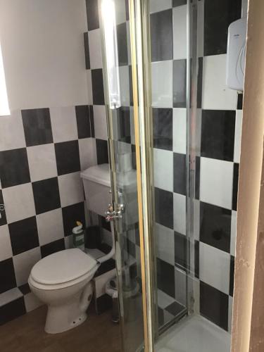 a bathroom with a toilet and a glass shower door at The Hub at Abercrave in Abercraf