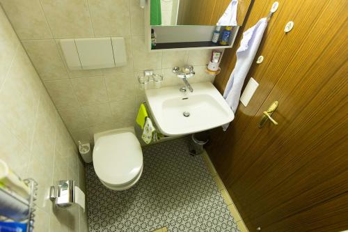 a small bathroom with a toilet and a sink at Chalet Ruedi - CharmingStay in Flumserberg