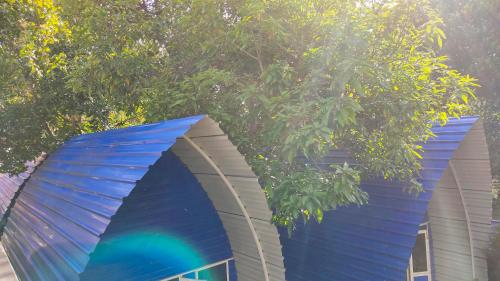 a blue building with a tree in the background at Airport Residence Inn in Katunayake