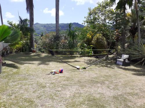 a hammock in the middle of a yard with palm trees at Royal Bay Villa in Anse Royale