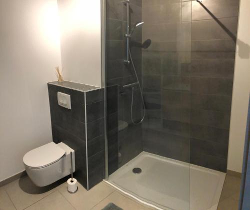 een badkamer met een douche en een toilet bij La Légende, 2 pièces avec parking privé gratuit près du lac in Annecy