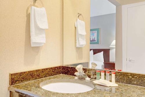 y baño con lavabo y espejo. en Ramada by Wyndham Draper, en Draper