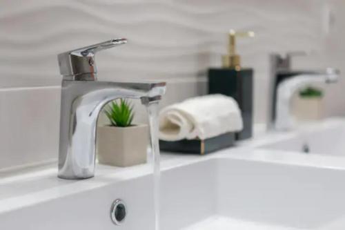 ein Waschbecken mit zwei Wasserhähnen und einer Pflanze in der Unterkunft Suite Marilyn Monroe & SPA - 5P - Proche Disney in Montry