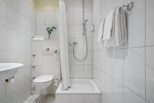 a bathroom with a shower and a toilet and a sink at Hotel Continental Hamburg Hauptbahnhof in Hamburg