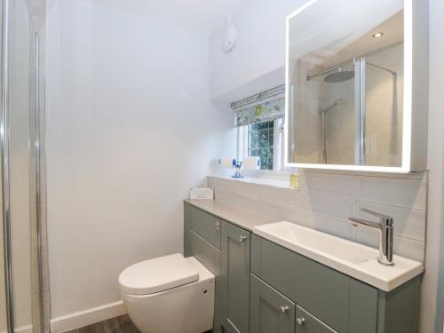 a bathroom with a toilet and a sink and a mirror at Snowdrop Cottage in Sherborne