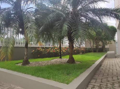 um grupo de palmeiras num pátio em Apartamento de Luxo acesso a Praia Grande e Praia do Tenório para 6 pessoas em Ubatuba