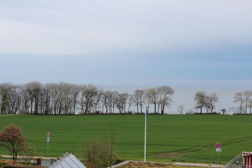 a green field with trees and a stop sign at Aparthotel Museumshof in Fehmarn