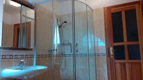 y baño con ducha acristalada y lavamanos. en Pension U Milana, en Dvůr Králové nad Labem