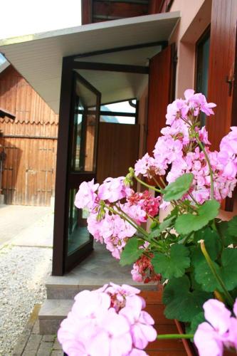 a bunch of pink flowers in front of a building at Charming House in Pontebba, Mountain View, Enclosed Garden in Pontebba