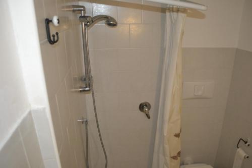 a bathroom with a shower with a toilet at La Casa di Cirro in Procida