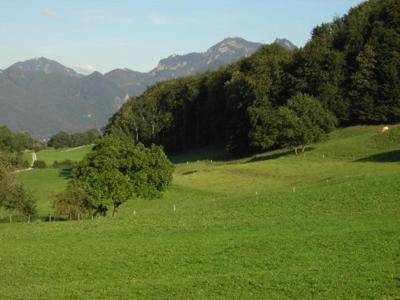 a green field with trees and mountains in the background at Cafe Wastelbauerhof - Urlaub auf dem Bauernhof in Bernau am Chiemsee