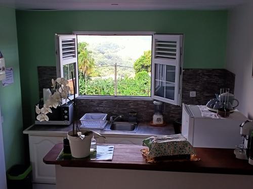een keuken met een wastafel en een raam bij T2 Échappée belle Sainte-Marie Kybo Karaib Location pkg Mtgne Cosy in Sainte-Marie