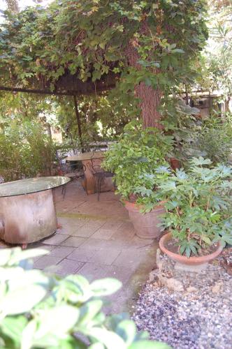 a patio with potted plants and a table and a tree at Arena Alfieri B&B in Livorno