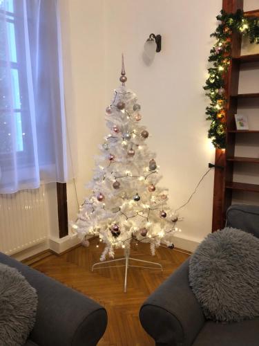 Katus Apartman 3300 Eger, Deák Ferenc utca 47. kép - 3