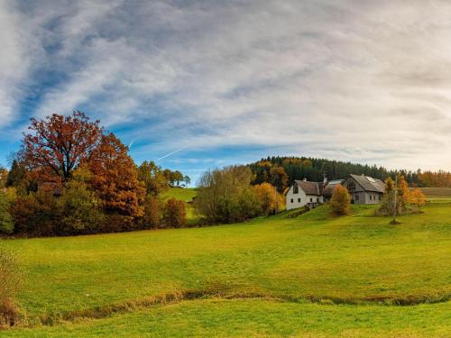 a house on a hill in a green field at WALD-LAND-HOF Schloss Rosenau in Schloss Rosenau