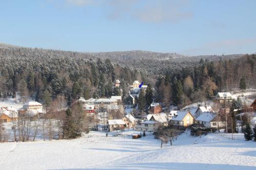 a small town in the snow with houses at Appartement Adélaïde in Le Hohwald