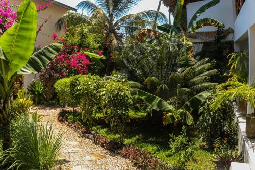 a garden with tropical plants and flowers in a house at Villa Kiota in Paje