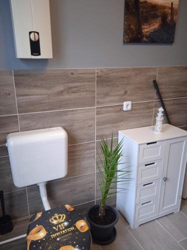 a bathroom with a toilet and a sink and a plant at Flensburg Zentrum 50 01 in Flensburg