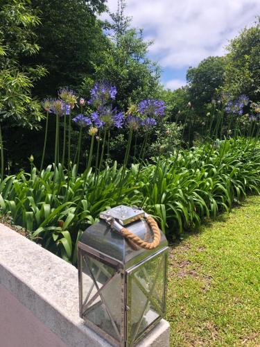 a garden with purple flowers and a glass box at Quintinha de Palmyra in Camacha