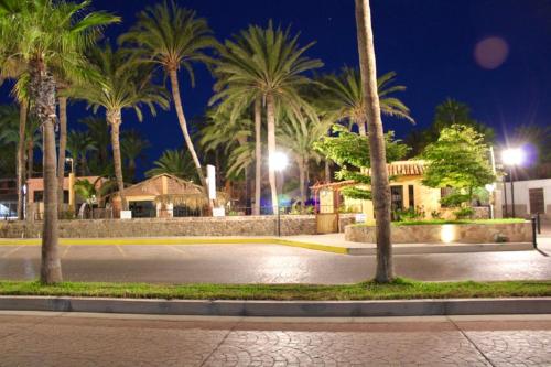 an empty street with palm trees at night at Sukasa Bungalows in Loreto