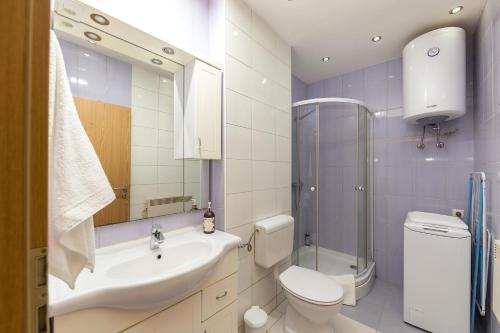 a bathroom with a sink and a toilet and a shower at Apartma Jelendol in Tržič