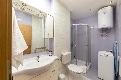 Koupelna v ubytování Apartma Jelendol