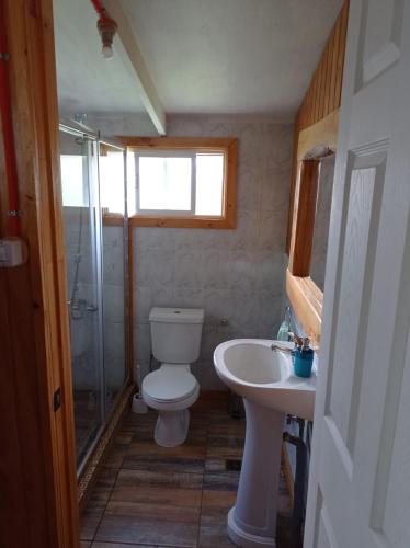 a bathroom with a toilet and a sink and a shower at Cabañas Rincon del Sur in Cochrane