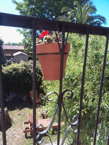 a flower pot on a fence with a plant at Chalet Caserón de Tejas, Amplia y confortable casa para hasta 11 huéspedes in Mar del Plata