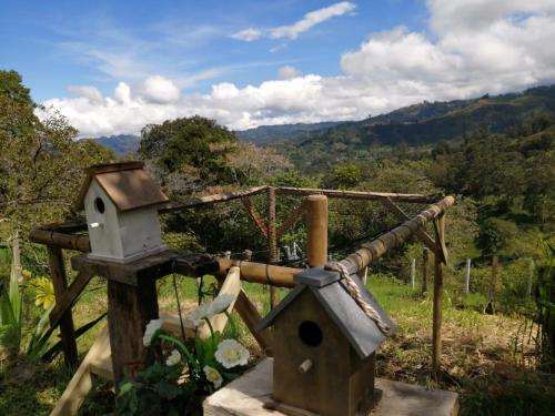 Foto dalla galleria di ALMA Glamping - San Francisco Cund - A 1h de Bogotá a San Francisco