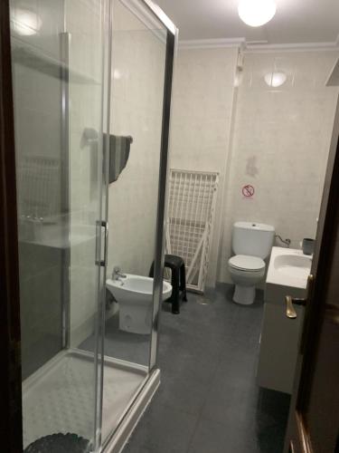 een badkamer met een douche, een toilet en een wastafel bij LOS ATICOS in Santander