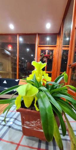 Φωτογραφία από το άλμπουμ του Dang Khoa Garden Inn στο Sa Pa
