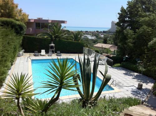 - une piscine avec un palmier dans la cour dans l'établissement Les Argonautes, à Villeneuve-Loubet