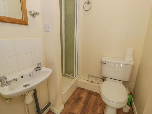 een badkamer met toilet en wastafel bij Bryn Melyn Artist's Cottage in Llanelltyd