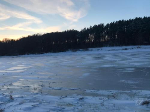 a frozen lake with snow and trees in the background at Sieburczynianka in Wizna