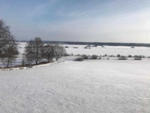 a large snow covered field with trees in the distance at Sieburczynianka in Wizna
