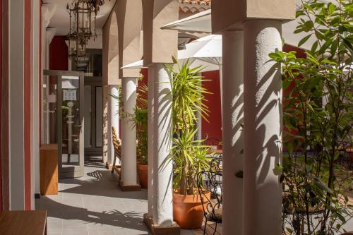 a hallway with potted plants on a building at Hôtel De Paris in Sète