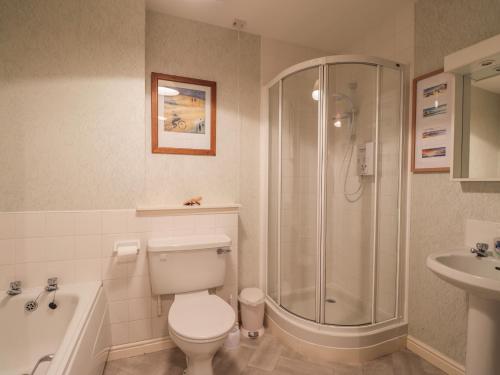 a bathroom with a toilet and a shower and a sink at Aurora View in Forres