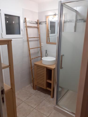 a bathroom with a sink and a shower at La Lyonnais in Pleslin-Trigavou