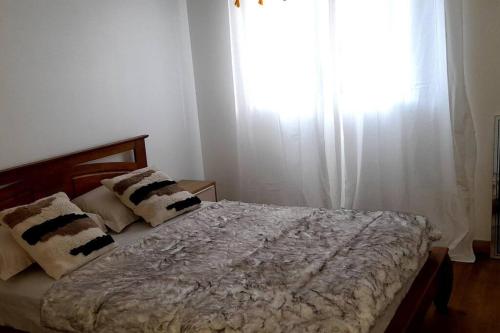 a bedroom with a bed with two pillows and a window at Kaz papaye in Saint-Pierre